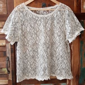 LOFT  Ann Taylor Lace Top Size Large